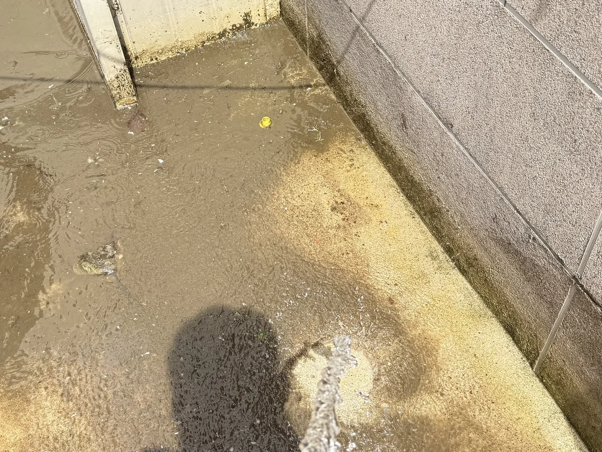 청양군 남양면 침수 현장 복도·대기 동선 야간 위생청소 사례 - 행진크린